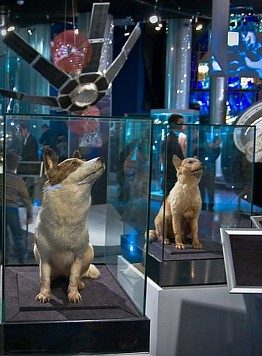 Belka (Scoiattolo) e Strelka (Freccia) furono due cani inseriti all'interno del programma spaziale sovietico - Guida a Mosca